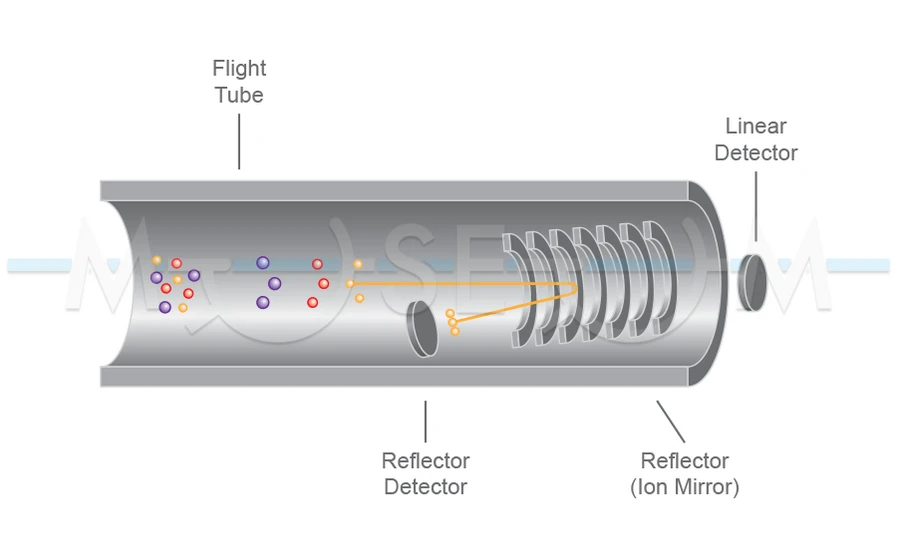 The Czech Museum of Mass Spectrometry/Martin Strohalm