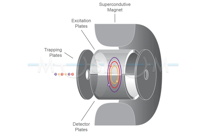 The Czech Museum of Mass Spectrometry/Martin Strohalm