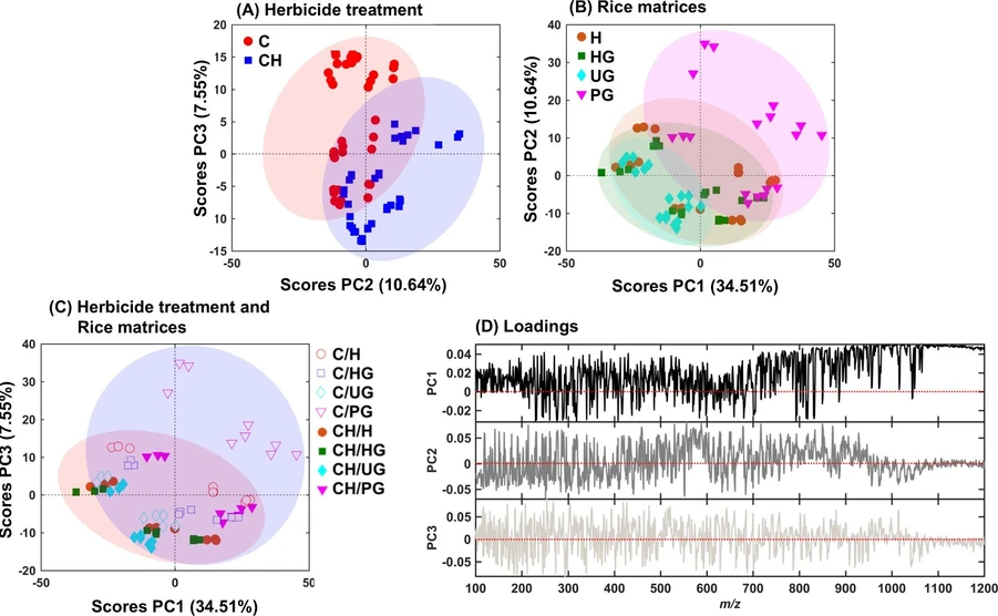 ACS Agric. Sci. Technol. 2025, 5, 8, 1641–1653: Figure 3. PCA scores for herbicide-treated and control rice samples, separated by (A) treatment group (C: Control, CH: Cultivated with Herbicide), (B) rice matrix (H: Husk, HG: Husk and Grain, UG: Unpolished Grain, PG: Polished Grain), and (C) combined treatment and rice matrix groups. Panel (D) shows the loadings plot for PC1, PC2, and PC3, indicating the contribution of each m/z variable to the principal components.