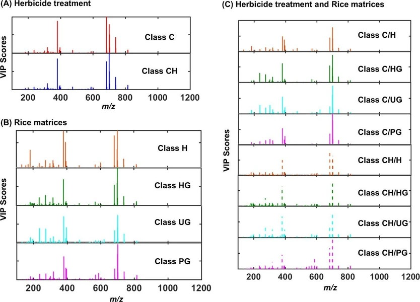 ACS Agric. Sci. Technol. 2025, 5, 8, 1641–1653: Figure 5. VIP score plots from the PLS-DA models, showing the most influential m/z variables for class separation across different configurations: (A) herbicide treatment (C: Control, CH: Cultivated with Herbicide), (B) rice matrices (H: Husk, HG: Husk and Grain, UG: Unpolished Grain, PG: Polished Grain), and (C) combined treatment and rice matrices (C/H, C/HG, C/UG, C/PG, CH/H, CH/HG, CH/UG, CH/PG). The VIP score axes are normalized from 0 to 1 within each model.