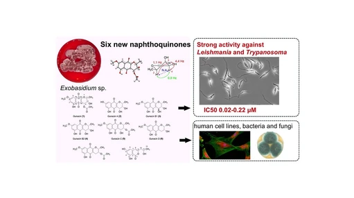 Gunacins: Novel Benzo[g]chromene Derivatives from the Fungus Exobasidium sp. and Their Potent Anti-Leishmania and Trypanosoma Activities
