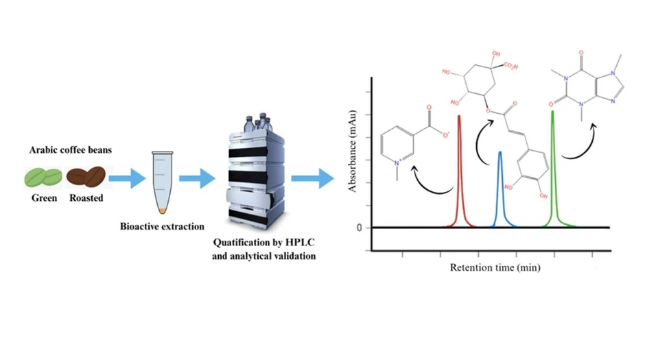 <p>ACS Omega 2025, 10, 35, 40304–40312: Graphical abstract</p>