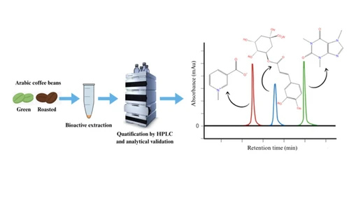 Optimization of Methodology for Simultaneous Quantification of Trigonelline, 5-Caffeoylquinic Acid, and Caffeine in Green and Roasted Coffee Extracts by HPLC