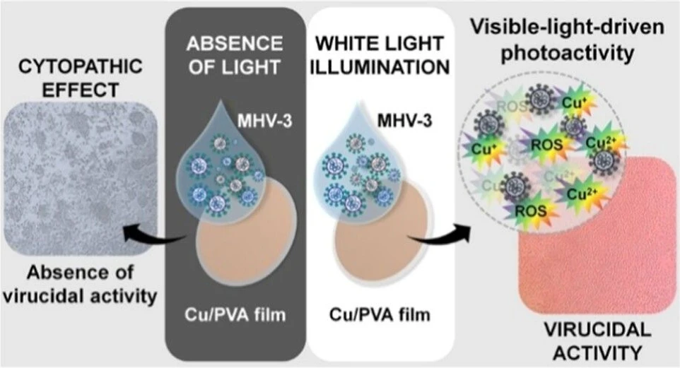 <p>ACS Omega 2025, 10, 40, 46524–46532: Graphical abstract</p>