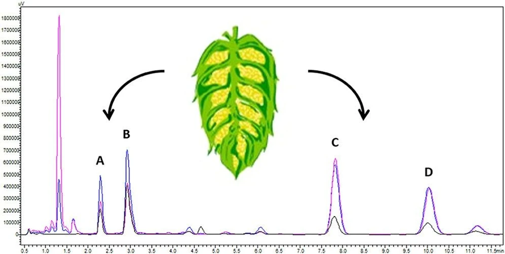 <p>ACS Omega 2026, 11, 4, 5241–5247: Graphical abstract</p>