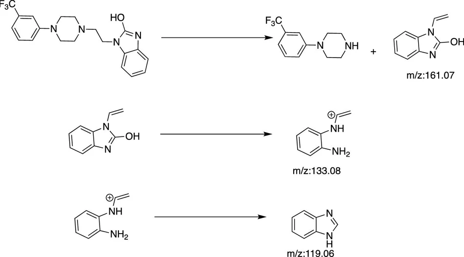 ACS Omega 2026, 11, 6, 10828–10836: Figure 1. Fragmentation paths of FLB in positive electrospray ionization mode.