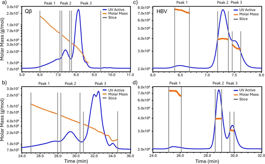 Anal. Chem. 2025, 97, 5, 3036–3044: Figure 5. SEC-MALS results for Qβ and HBV VLPs. Molar mass versus elution time (orange points) and UV chromatogram measured at 280 nm (blue line) for Qβ at flow rates of (a) 1.15 mL/min and (b) 0.29 mL/min, and the same for HBV at (c) 1.15 mL/min and (d) 0.29 mL/min.