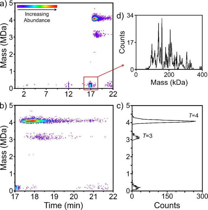 Anal. Chem. 2025, 97, 5, 3036–3044: Figure 4. SEC-CD-MS analysis of HBV CP149 VLPs. (a) 2D abundance map showing the full elution time range from injection to 22 min. (b) 2D abundance map showing an expanded view of the 17 to 22 min elution time range. (c) CD-MS mass distribution showing the mass range from 0 to 5 MDa. (d) Expanded view of the CD-MS mass distribution for the low mass feature in (a) at an elution time of 17 min.
