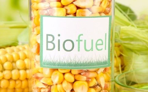 Comprehensive Quality Control Testing of Biofuels to Ensure a Greener, more Sustainable Future