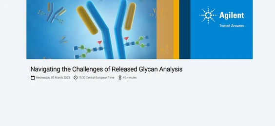 Navigating the Challenges of Released Glycan Analysis