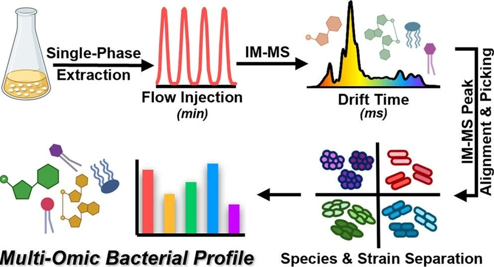 <p>Anal. Chem. 2025, 97, 26, 13809–13816: Graphical abstract</p>