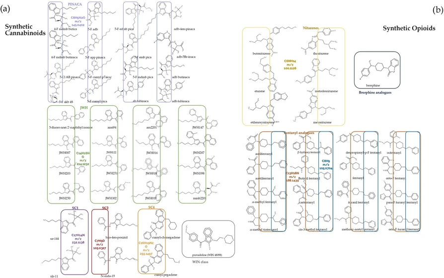 Anal. Chem. 2025, 97, 28, 15420–15429: Figure 4. Defined subclasses within (a) synthetic cannabinoids (JWH-green, PINACA-violet, WIN-gray, SC1-purple, SC2-red, SC3-orange) and (b) synthetic opioids (brorphine analogues-blue, nitazenes-yellow, and fentanyl analogues-dark orange and blue).