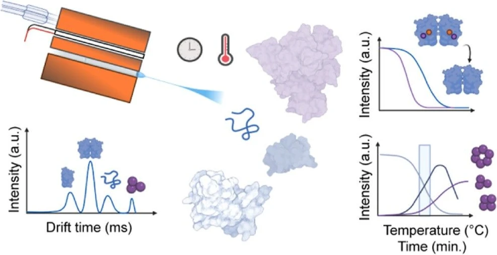 <p>Anal. Chem. 2026, 98, 20, 14683–14694: Graphical abstract</p>