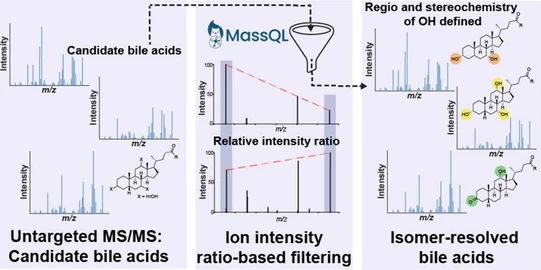 MS/MS Mass Spectrometry Filtering Tree for Bile Acid Regio- and Stereoisomer Annotation