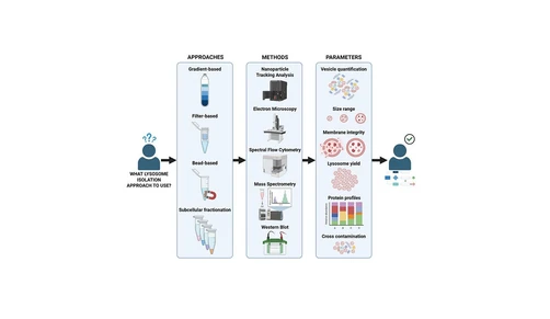 Benchmarking Lysosome Enrichment Methods: A Guide for Research and Clinical Translation