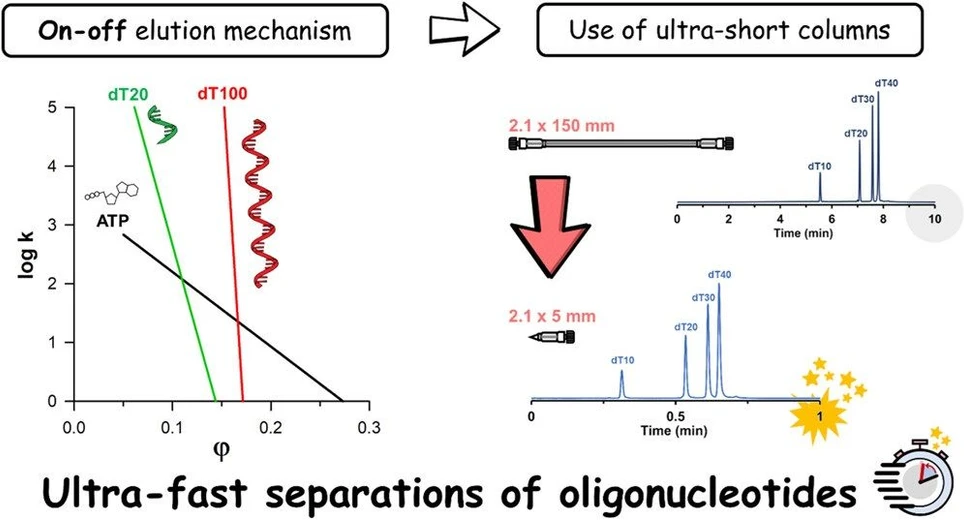 <ul>
<li><strong>Photo:</strong> Anal. Chem. 2023, 95, 27, 10448-10456 - cover image</li>
</ul>
