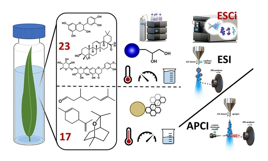 <ul>
<li><strong>Photo:</strong> <em>Analytical Chemistry</em> <strong>2024</strong> <em>96</em> (7), 2840-2848: graphical abstract</li>
</ul>
