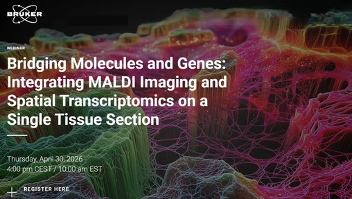 Bridging Molecules and Genes: Integrating MALDI Imaging and Spatial Transcriptomics on a Single Tissue Section