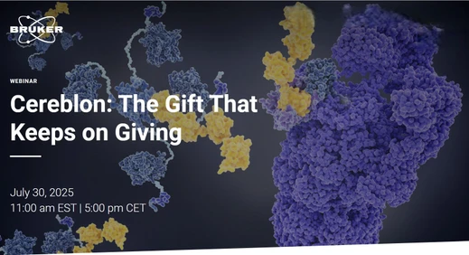 Cereblon: The Gift That Keeps on Giving