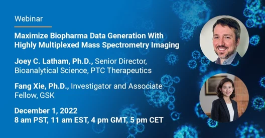 Maximize Biopharma Data Generation With Highly Multiplexed Mass Spectrometry Imaging