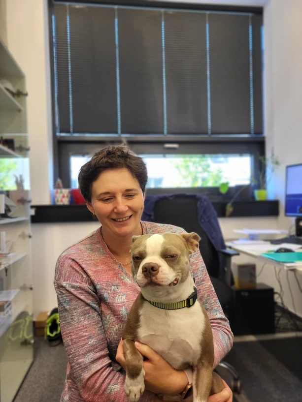 CXI TUL: Glass alchemy of Marie Staré. The recyclate has new uses.