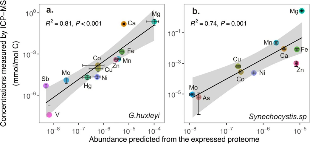 Environ. Sci. Technol. 2025, 59, 50, 27367–27377: Figure 3. Relationship between the abundance of metals determined by ICP-MS analysis (normalized to C, mmol/mol C) and metal abundance determined from the metalloproteome analysis (the unit is arbitrary). To account for strain variations, the ICP-MS data for the cellular metal content of G. huxleyi are average values from 7 G. huxleyi strains isolated from different areas of the ocean, and the proteome-derived metal composition data are average values calculated from 2 of those G. huxleyi strains (OA1 and OA16) isolated previously, and data from Mckew et al., 2013. (24) The ICP-MS data for Synechocystis are from Synechocystis sp. FACHB898 measured in this study, and the proteome data are calculated from Chen et al., 2018. (22) Noted that the abundance of metals from each proteome was calculated by using the metal stoichiometry multiplied by the relative abundance of proteins, which provides only a relative relationship of different trace metals, not absolute abundance. The symbols represent the mean values, and the error bars indicate standard deviations.