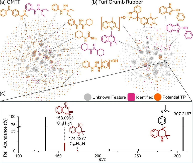 Environ. Sci. Technol. 2026, 60, 1, 1051–1062: Figure 4. Molecular networks of all NTS features in (a) cryomilled tire tread (CMTT) and (b) turf crumb rubber with identified compounds from suspect screening in pink and potential TPs in orange (c) MS/MS of TMQ-C21H26N2 with TMQ diagnostic fragments in dark red.