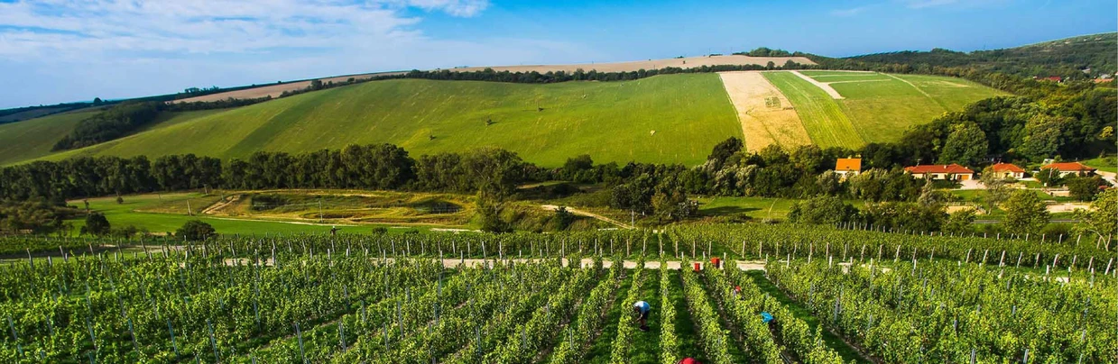 53rd Conference on Synthesis and Analysis of Drugs 2025