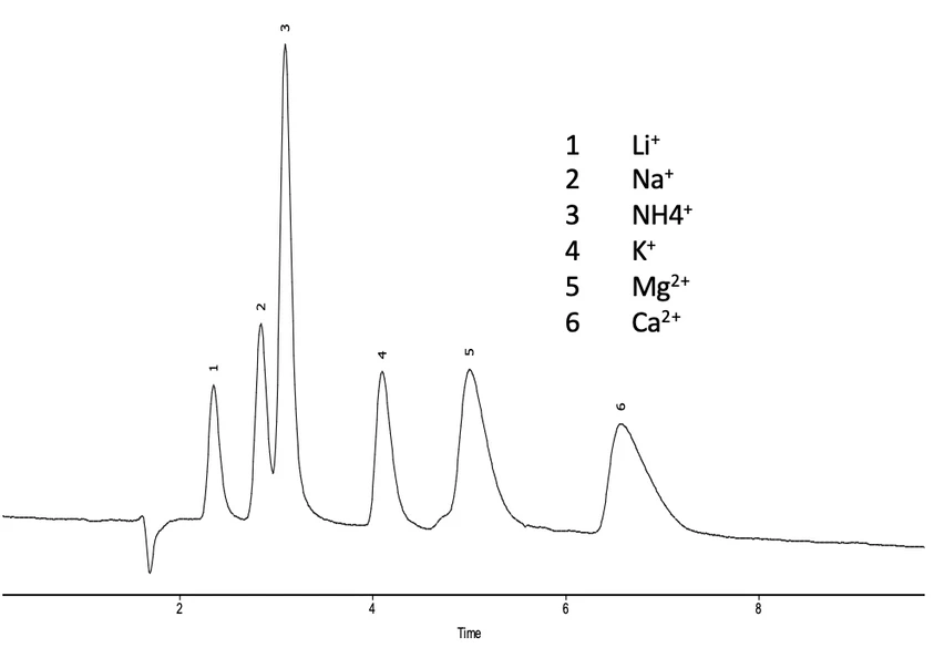 Watrex: Separation of anions in a Watrex IonPlus CS19 HPLC column