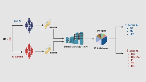 Aromatase Inhibitor Therapy Is Associated with Distinct Plasma Lipidomic Profiles in Postmenopausal Breast Cancer Patients