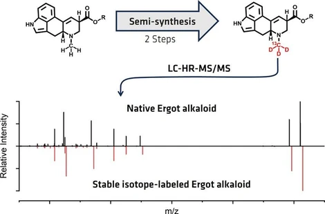 Semisynthesis of Stable Isotope-Labeled Ergot Alkaloids for HPLC-MS/MS Analysis