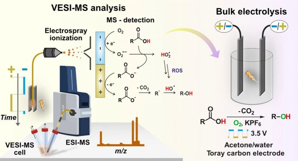 <p>J. Am. Chem. Soc. 2025, 147, 41, 36975–36979: Graphical abstract</p>