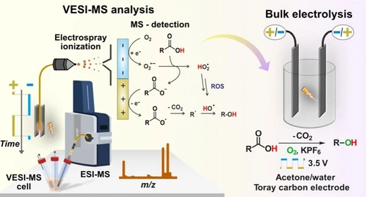 Paired Pulsed Decarboxylative Hydroxylation Designed by Online Electrochemistry–Mass Spectrometry