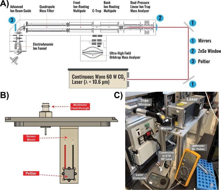 J. Am. Soc. Mass Spectrom. 2026, 37, 1, 301–309: Figure 1. Modified Orbitrap Ascend Infrared Laser Setup. (A) Orbitrap Ascend instrument footprint depicting laser components and Peltier detector. (B) Schematic of Peltier for laser alignment. (C) Labeled image of laser setup at back end of instrument.