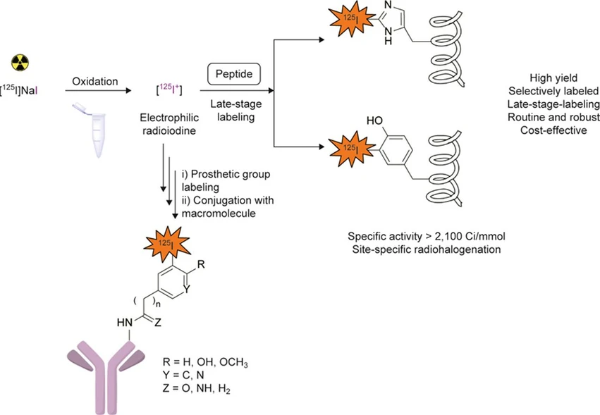 J. Pharm. Anal. 2025, 101198: Graphical abstract
