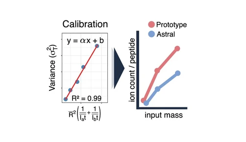Evaluation of a Prototype Orbitrap Astral Zoom Mass Spectrometer for Quantitative Proteomics Beyond Identification Lists