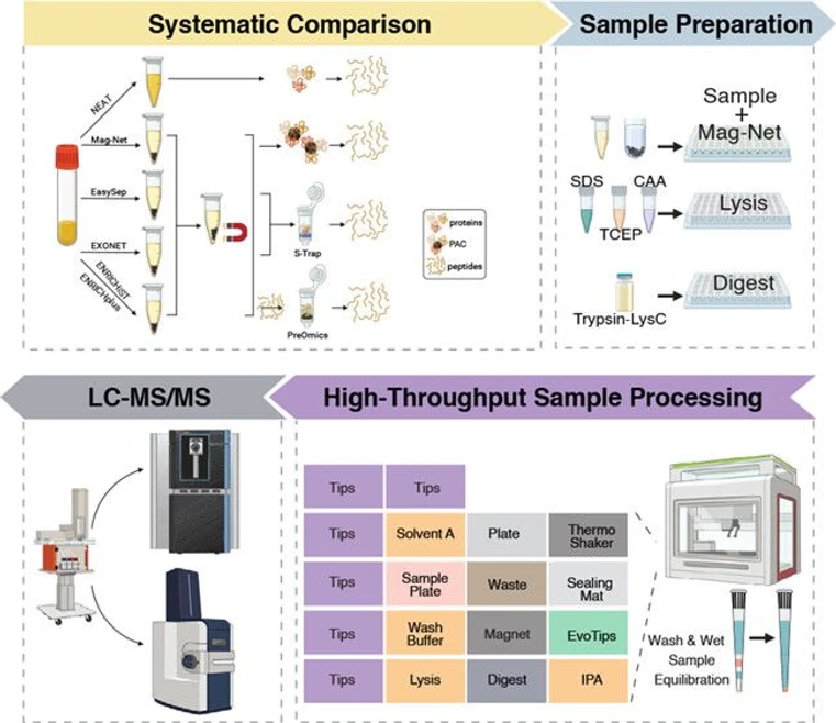 <p>J. Proteome Res. 2026, 25, 2, 618–632: Graphical abstract</p>