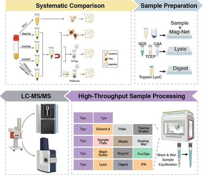 Automated Mag-Net Enrichment Unlocks Deep and Cost-Effective LC–MS Plasma Proteomics