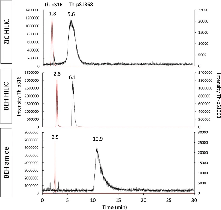 Journal of Chromatography A, Volume 1735, 25 October 2024, 465341: Fig. 3. Overlay of the extracted ion current elution profiles of Th-pS16 (red) and pS1368 (black) complexes, acquired by ESI-LIT-MS, with m/z 1469–1470 and 1518–1520 for Th2pS162 and Th2pS13682, respectively. Samples: 1Th:2pS16 (Sample E) and 1Th:2pS1368 (Sample A). Columns: ZICsingle bondHILIC 150 × 2.1 mm, 3.5 μm, Acquity BEH HILIC 150 × 2.1 mm, 1.7 μm and Acquity BEH AMIDE 150 × 2.1 mm; 1.7 μm. In all cases, the mobile phase composition was 70/30 ACN/H2O v/v containing 20 mmol L−1 NH4CH3CO2, the flow rate was 300 μL min−1, the elution mode isocratic and Vinj = 3 μL.