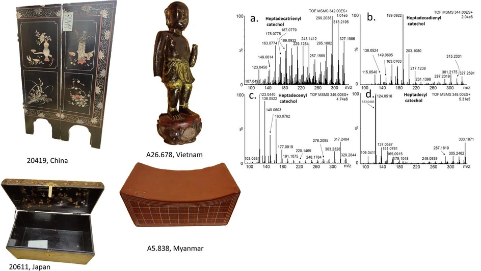 <p>Journal of Cultural Heritage, 77, 2026, 187-196: Fig. 1. Selected objects from each geographical area (details of the objects are given in Table 1 and Supplementary Material A) and Fig. 3. Fragmentation spectra of heptadecylcatechols possessing 0-3 double bonds, (MS/MS; m/z of parent ions are: a) 342.2559, b) 344.2715, c) 346.2872, d) 348.3028).</p>