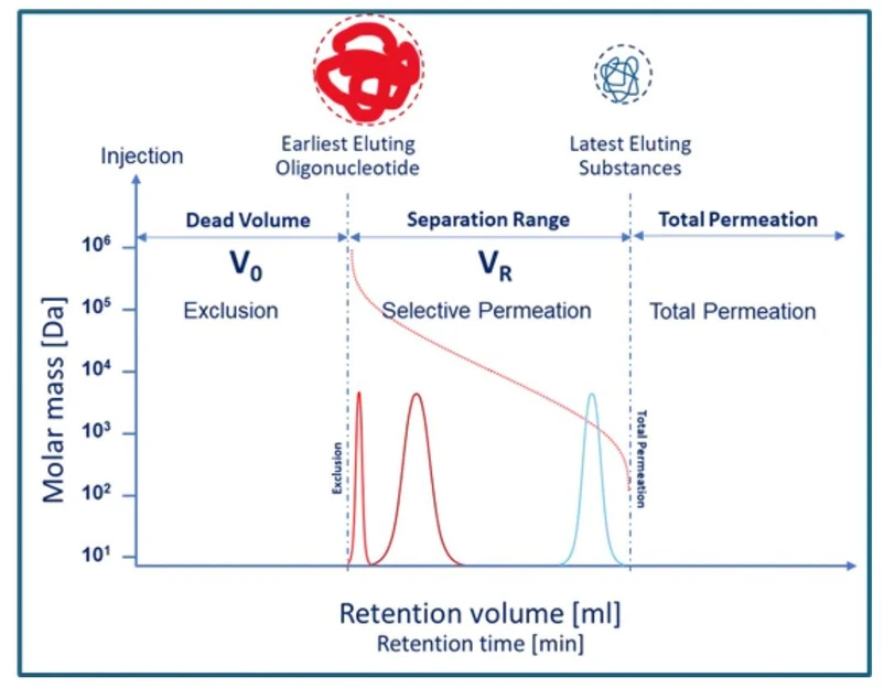 KANUER: Figure 2 - SEC Elution