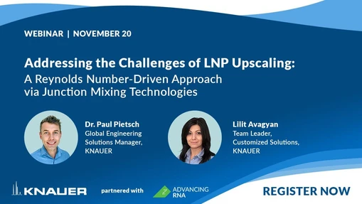 Addressing the Challenges of LNP Upscaling: A Reynolds Number-Driven Approach via Junction Mixing Technologies
