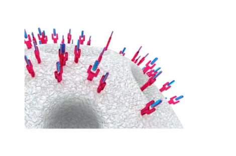 KNAUER Sepapure® FPLC Columns for Antibody Affinity Chromatography