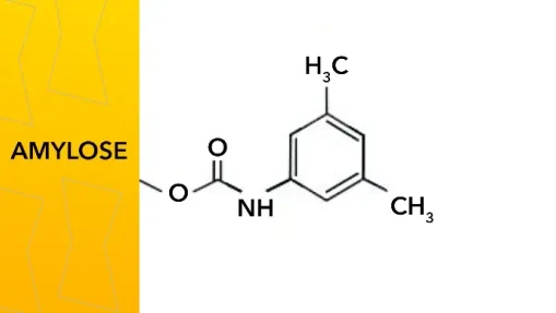 KNAUER Eurospher II Chiral AM Prep Columns for NP & RP (USP L51)