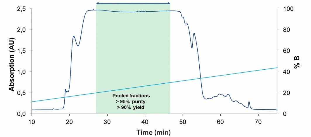 KNAUER: Chromatogram of oligonucleotide purification from 1 l sample
