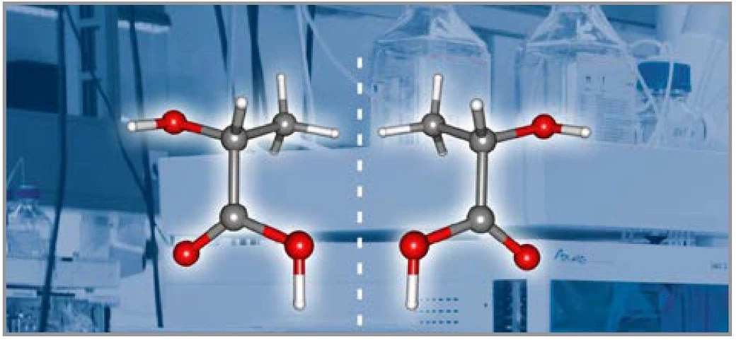 KNAUER: Eurospher II chiral