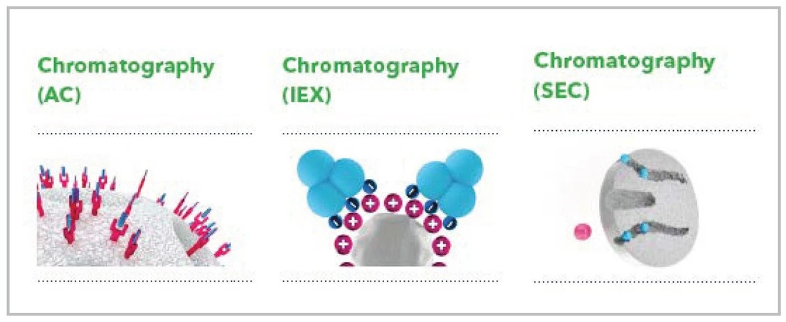 KNAUER: FPLC Sepapure® columns