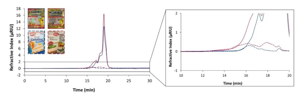 KNAUER: Fig. 4 Overlay chromatograms measured with RID, 20 µL and column set B. Solid dark blue line: Haribo® Goldbears; solid red line: Halal Haribo® Goldbears; dotted dark blue line: porcine reference standard; dotted red line: bovine reference standard. Graphic by KNAUER.