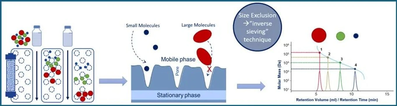 KNAUER: Figure 1 - SEC Principle.