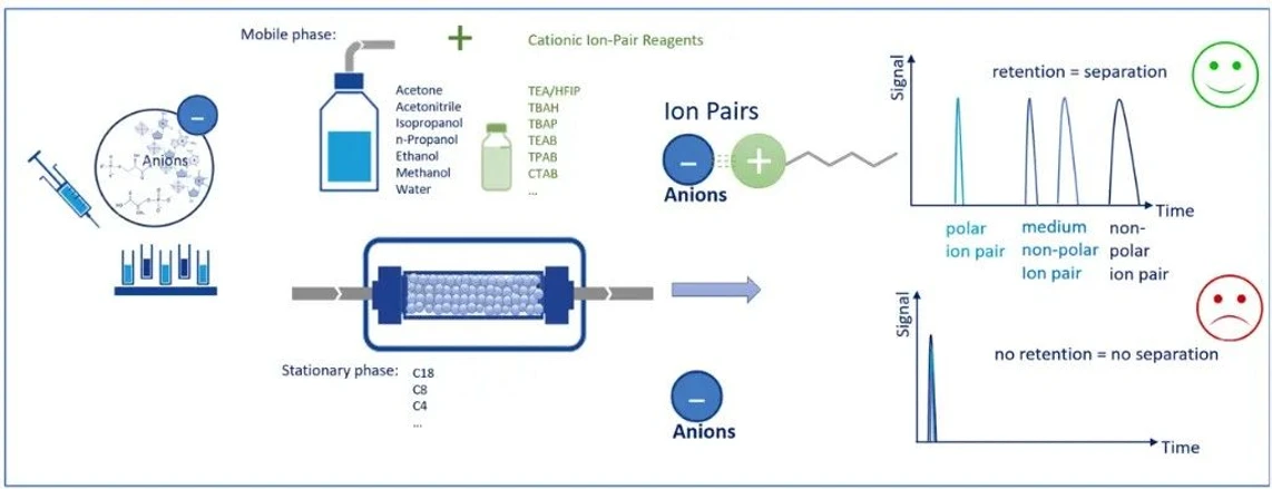 KNAUER: Figure 3 - Ion-Pair Reversed Phase Principle.